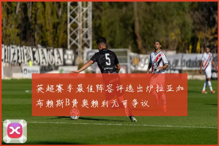 英超赛季最佳阵容评选出炉拉亚加布赖斯B费奥赖利无可争议